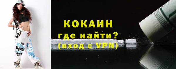 дмт Абаза