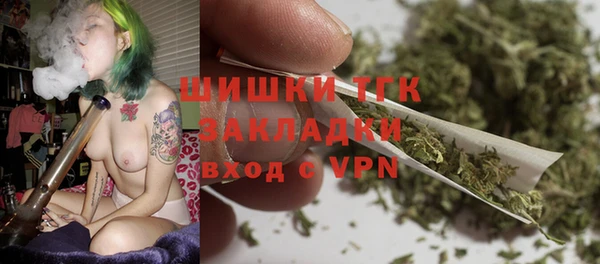 PSILOCYBIN Алзамай