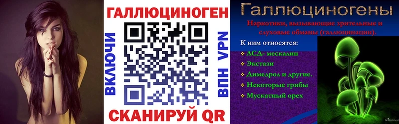закладки  Солигалич  Псилоцибиновые грибы MAGIC MUSHROOMS 